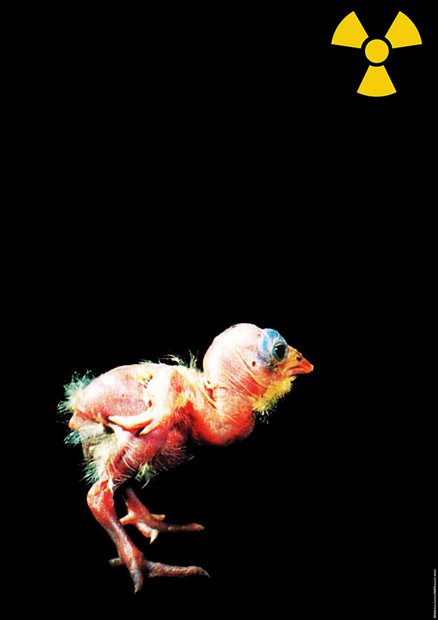 RADIOACTIVE SUN / 2012